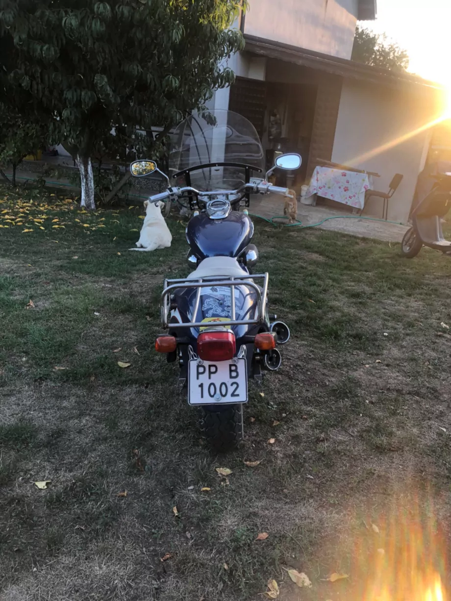 ID:1219 - HONDA MAGNA