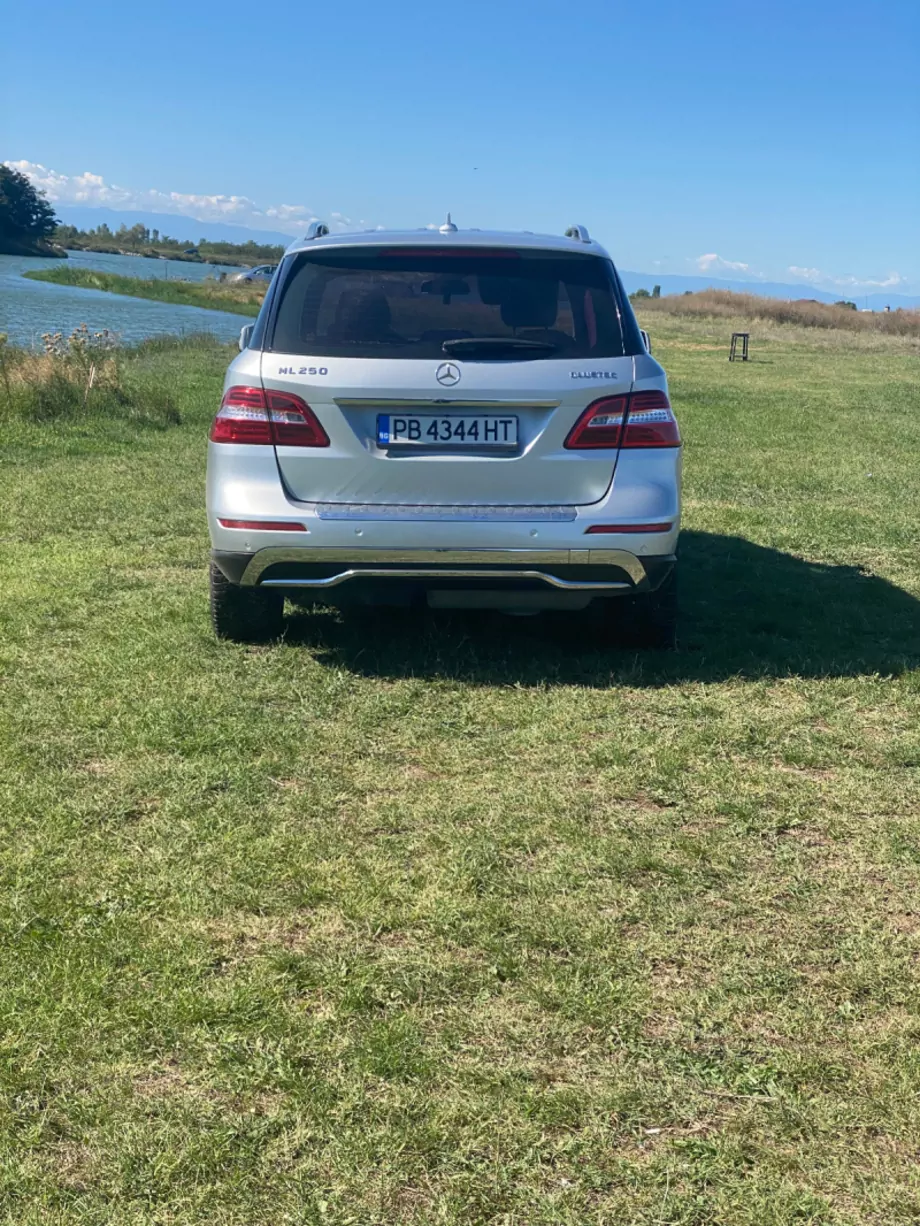 ID:1231 - MERCEDES-BENZ ML 250