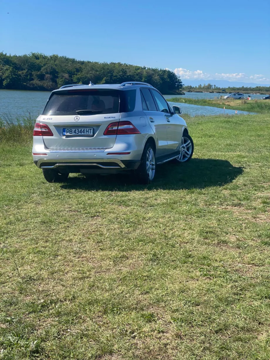 ID:1231 - MERCEDES-BENZ ML 250